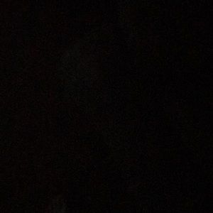 Meet your Posher, Emilie